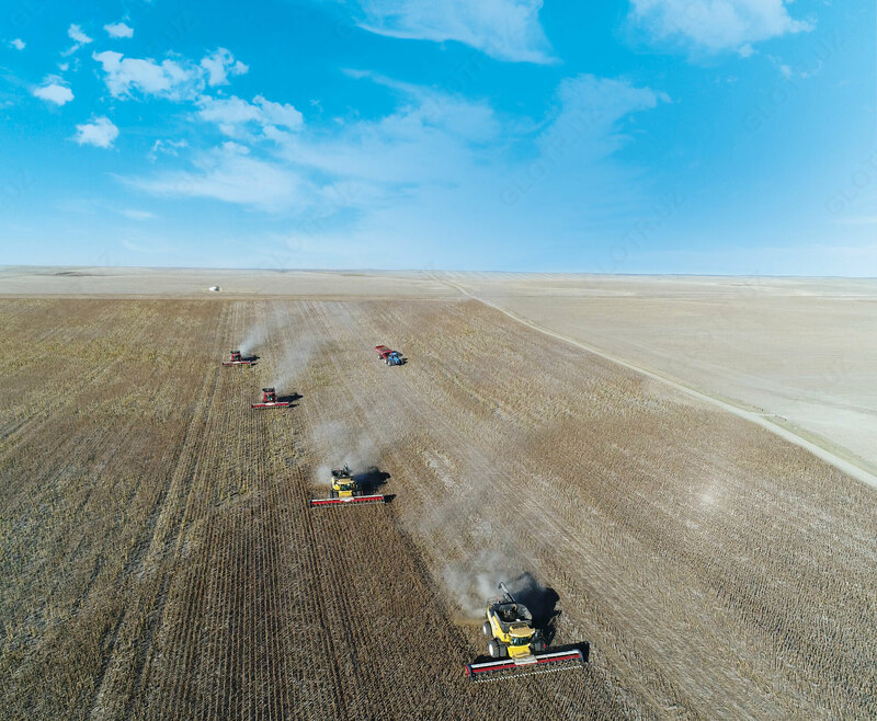 Жатка для комбайна Жатки