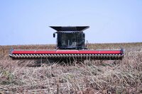 Жатка для комбайна от 346 000 000 сум - OXUS MACHINERY