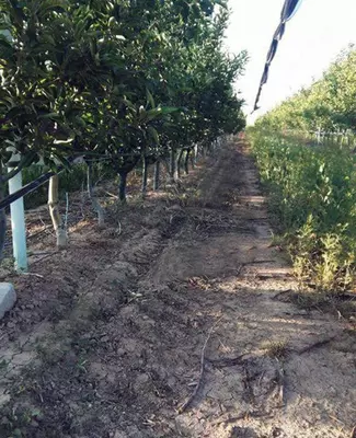 21 384 825 сум / шт. Односторонний опрыскиватель гербицидов с 400л. баком. KADIOGLU SPD4