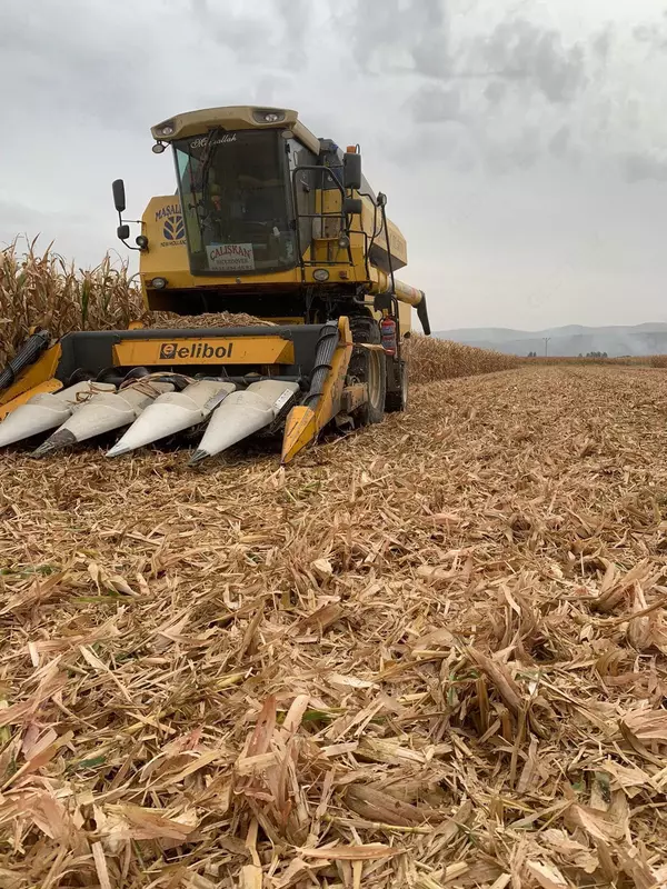 397 219 200 so'm Elibol MHS 6 Makkajo'xori yig'ish jatkasi