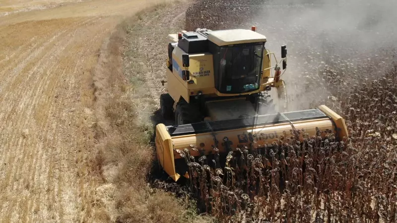 Жатка для уборки подсолнечника Elibol Freesun 550 на комбайн OXUS MACHINERY