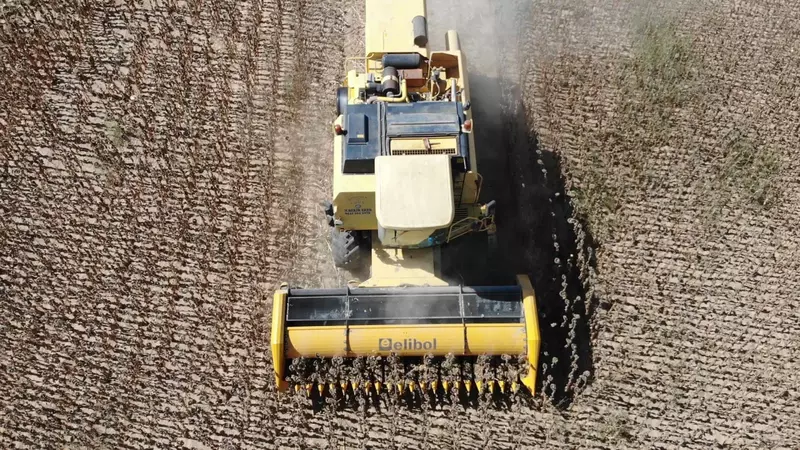 Жатка для уборки подсолнечника Elibol Freesun 550 на комбайн - OXUS MACHINERY