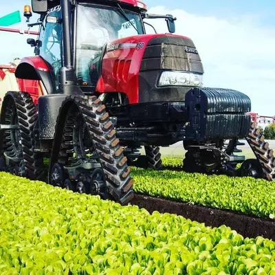 для уборки риса