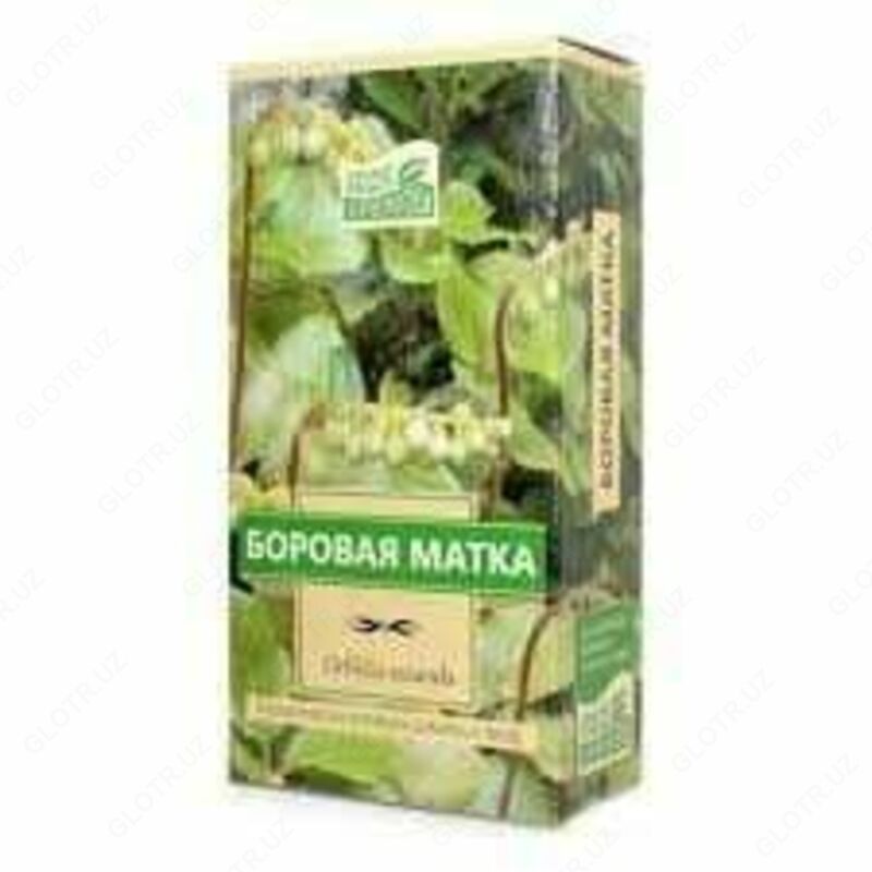 Боровая матка при зачатии — правила приема и эффективность