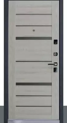 Входная металлическая дверь "БУЛЬДОРС Premium 90" (Чёрный шёлк 2050 х 880) - 7 200 000 сум / шт.