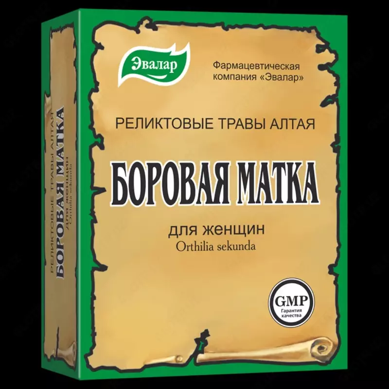 Borovaya bachadonini Toshkentda sotib oling