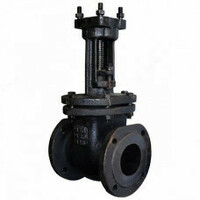  Elektr haydovchi 30ch906br DN-50 PN-10 bilan quyma temir eshikli valf - 