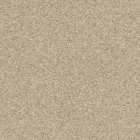 Antistatik tijorat bir hil linolyum