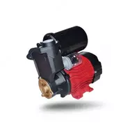 Автоматический водяной насос EPA EVN-A250-4