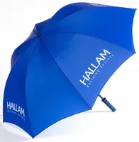  Зонты с логотипом – практичный и стильный способ продемонстрировать ваш бренд! - 