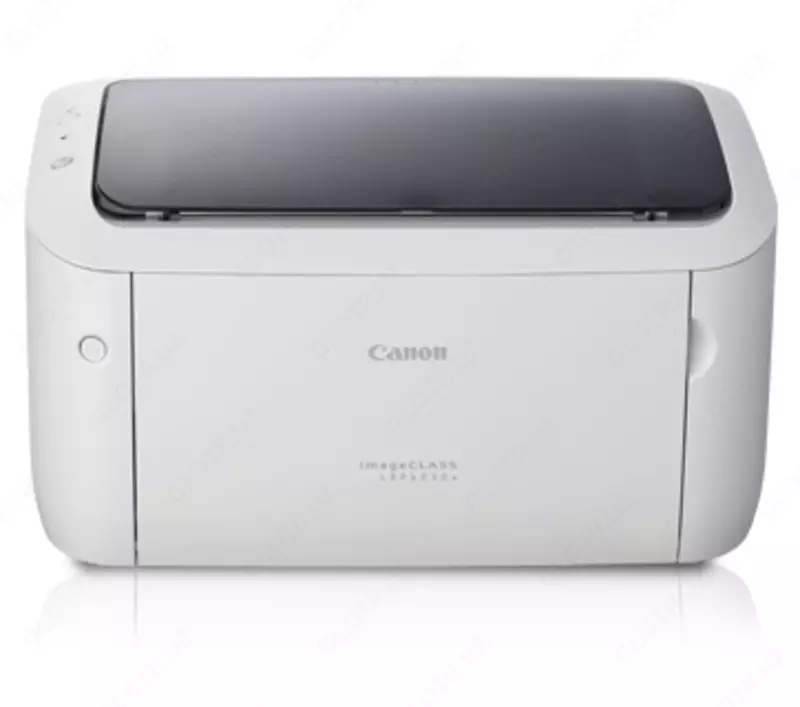 Canon LBP6030W
