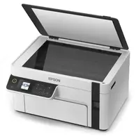 A4 (ч/б печать)