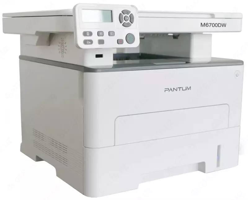 A4 (siyah rangli chop etish)