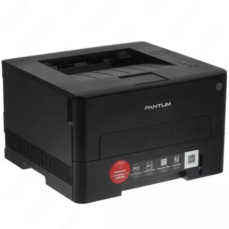 Принтер PANTUM P3020