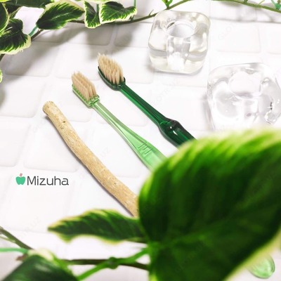 "Smart misvok" tish cho