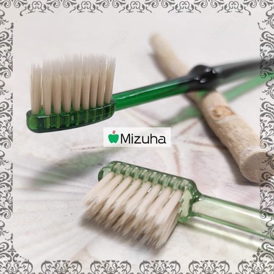 "Smart misvok" tish cho