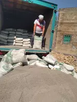   sement sotamiz