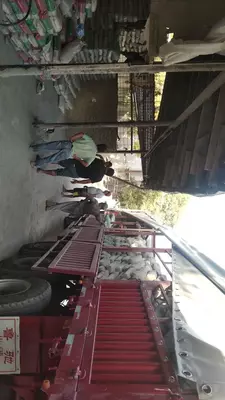  цемент Только в розницу