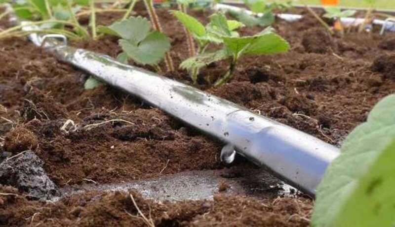 Капельная лента со встроенными капельницами - от {0} сум