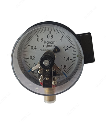 Bosim o'lchagich ДМ2010 М (0...1