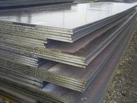 стальной лист