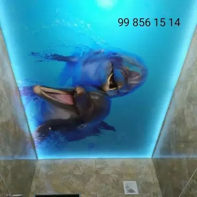 Stretch shiftlari - Narx so&#039;rov asosida