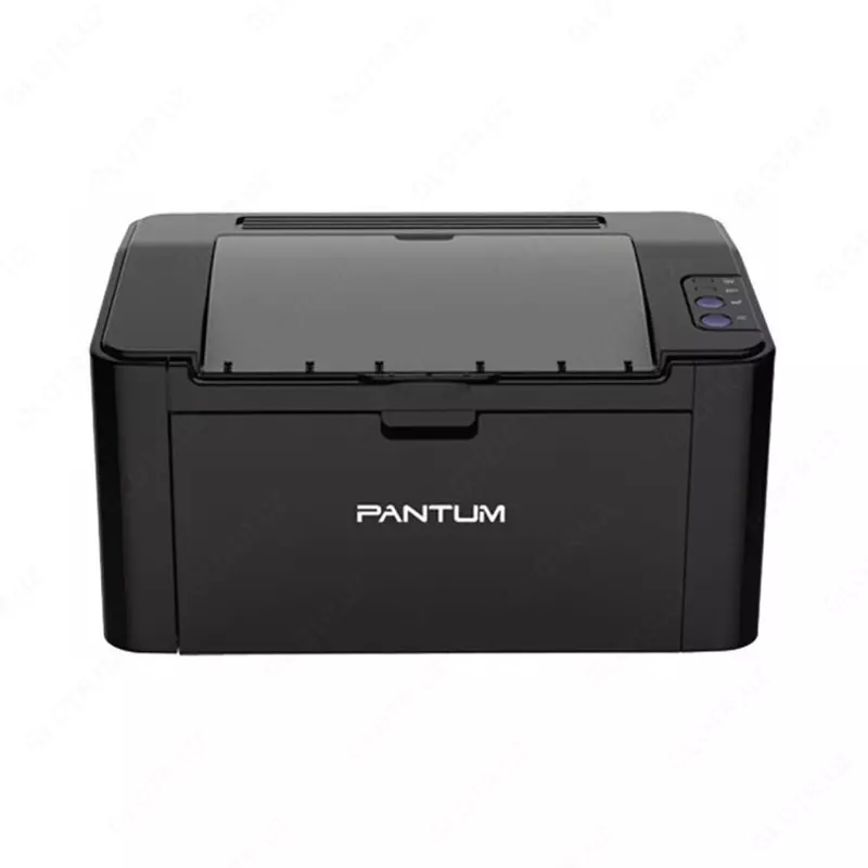 Lazer Pantum Printer P2207