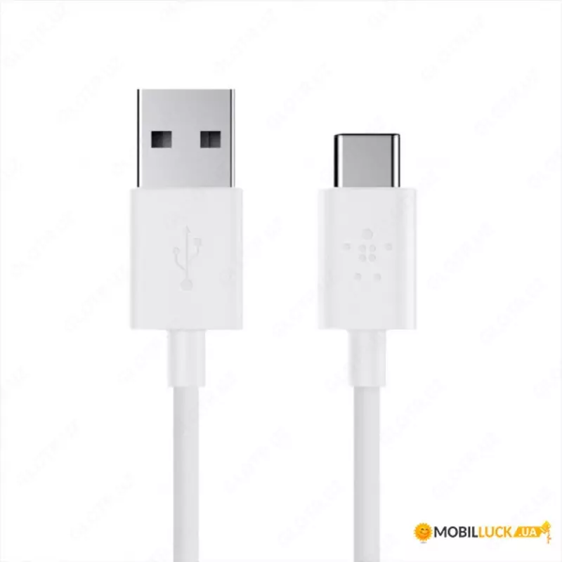 Belkin PVC C-C 2.0 1m, WH kabellari va adapterlari