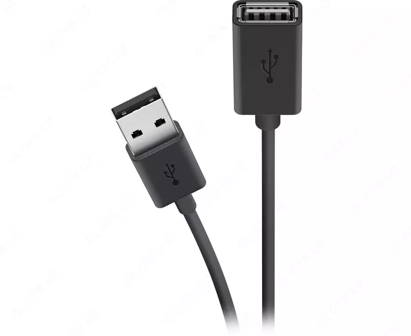 Belkin PVC C-C 2.0 1m, WH kabellari va adapterlari