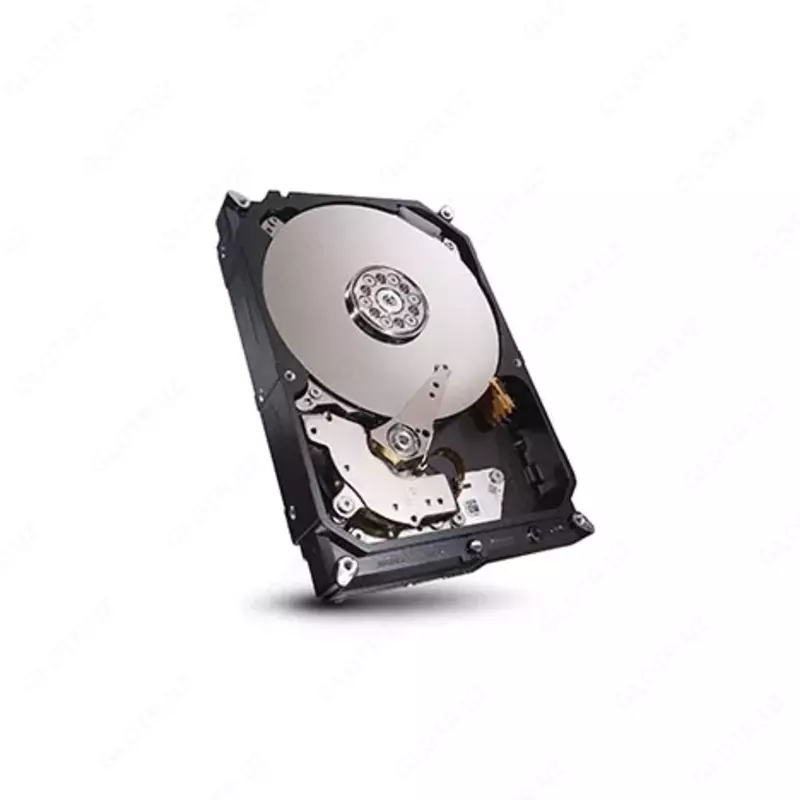 Seagate Enterprise Capacity 2TB 7,2k 3,5 dyuymli SATA qattiq diski (art. ST2000NM0008)