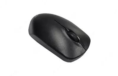 Беспроводная мышь AVT DW200