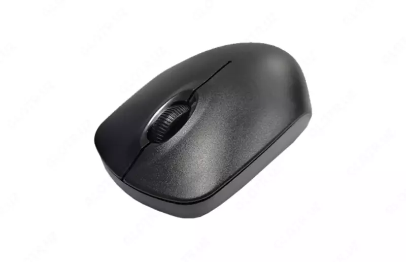 Беспроводная мышь AVT DW200