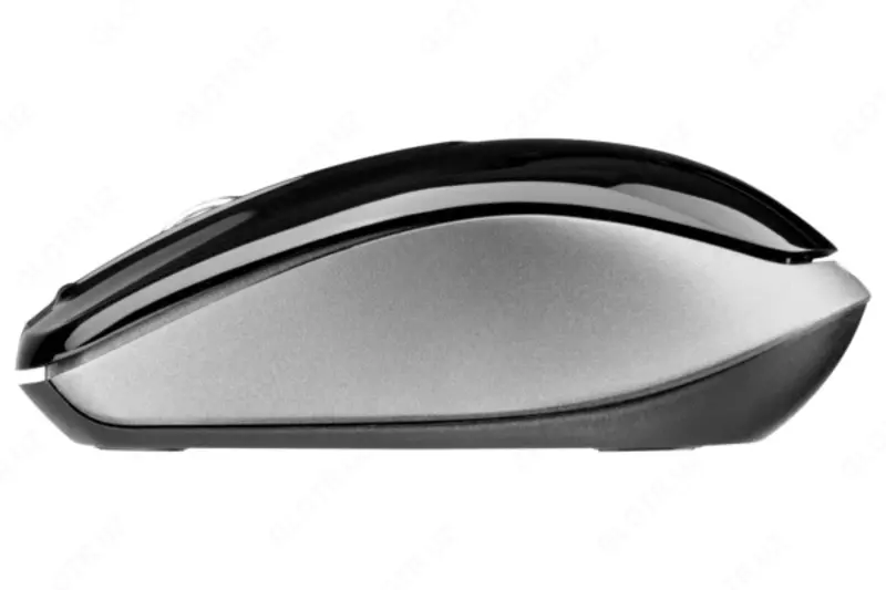 Simsiz sichqoncha 2E MF2020 (2E-MF2020WC), kulrang-ko‘k