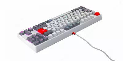 Клавиатура игровая Xtrfy K4 TKL Retro | Kailh Red | RUS-ENG