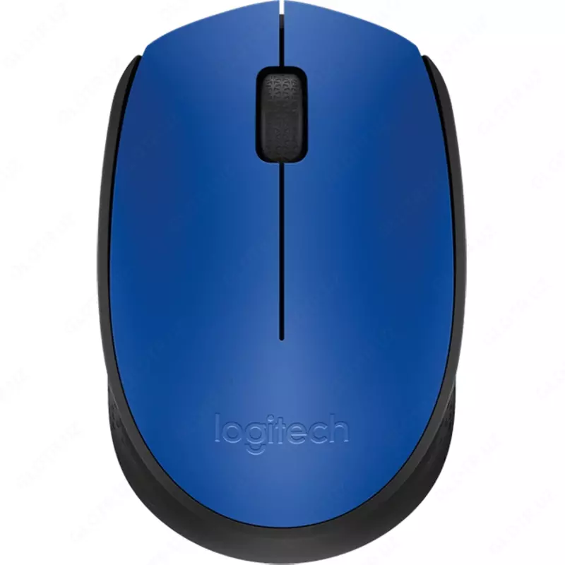 Sichqoncha Logitech M171 BLACK