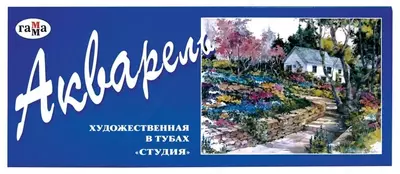 Акварель "Гамма Студия", художественная (12 цветов) Арт. - 213007