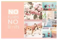 Sketchbook "BG Draw and Dream" iqtisod (32 varaq) A-4 Art. - AR4sk32_8760 - 10 600 so'm