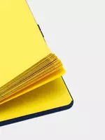 Бизнес - блокнот "Феникс+"