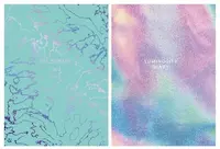 80 стр. (Арт. - ББ5т80_м_лг_8797)