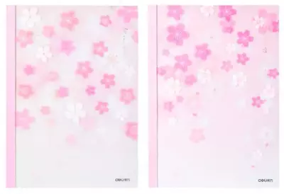 Рабочая Тетрадь "Deli Сакура", линейка , А5, 40 стр. (Арт. - 540-WPA-cherry2)