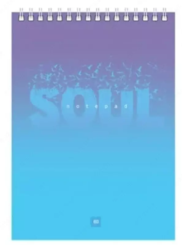 Блокнот BG "Soul light", со спиралью, A5, 80 стр. (Арт. - Б5гр80_8879)