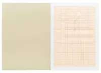 16 листов (Арт.-16БмА4ск_13546)