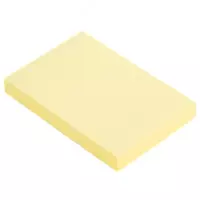 100 л. (Арт. - 00253-EA) Желтая