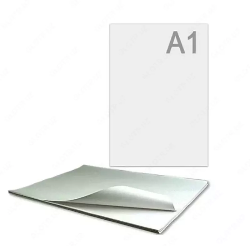 Whatman "LenGoznak" A1 chizish uchun, 860 x 610 mm (Art. - 000810)