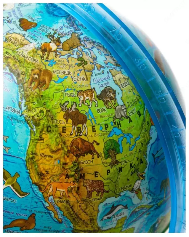 Interaktiv ta'lim globusi "Globen" "Zoogeographic", 25 sm (Art. - Ke012500269)