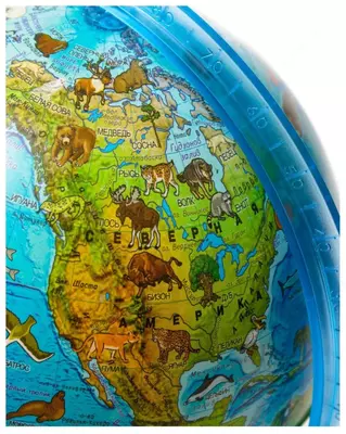 Interaktiv ta'lim globusi "Globen" "Zoogeographic", 25 sm (Art. - Ke012500269)