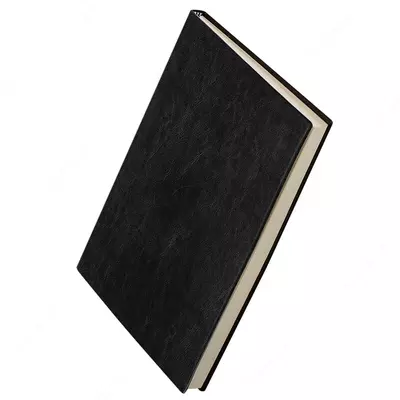 Ежедневник "Deli Concise" 270 х 195 мм, А4, 160 листов (Арт. - 3185-bk)