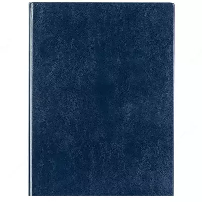 Ежедневник "Deli Concise" 270 х 195 мм, А4, 160 листов (Арт. - 3185-bl)