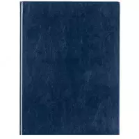 Ежедневник "Deli Concise" 270 х 195 мм