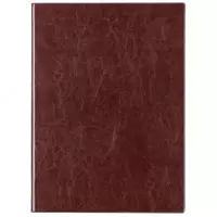 Ежедневник "Deli Concise" 270 х 195 мм